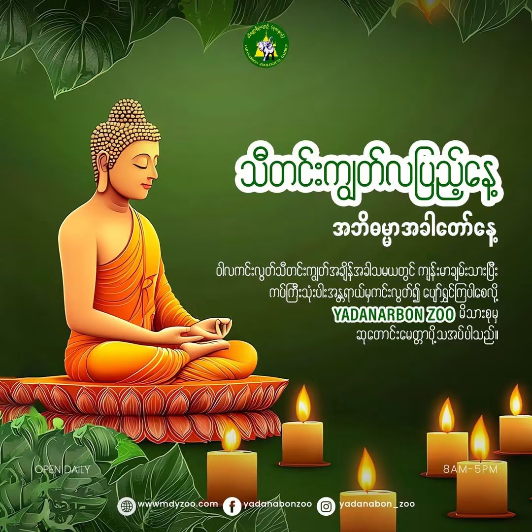Seasonal Festival (Thadingyut, Tazaungdine) 