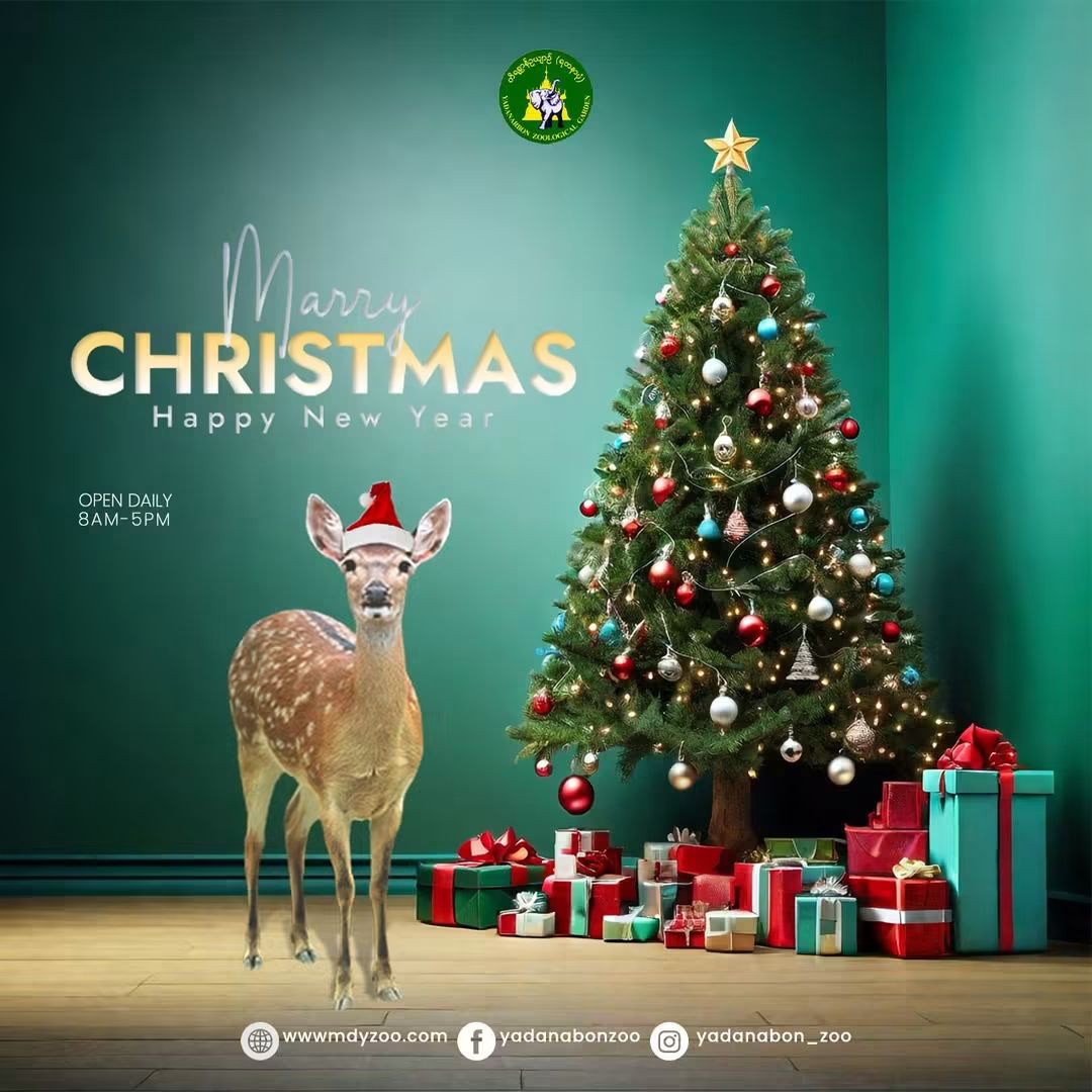 Christmas 