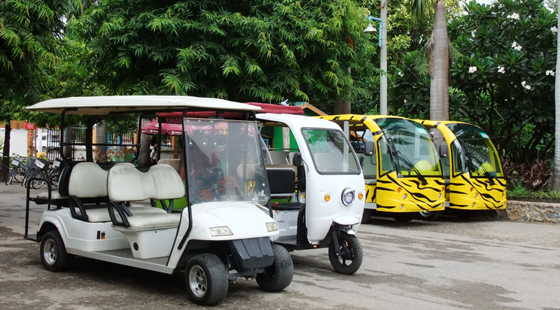 Large Buggy 