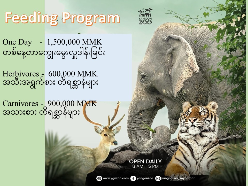 Animal Feeding and Donation Program
